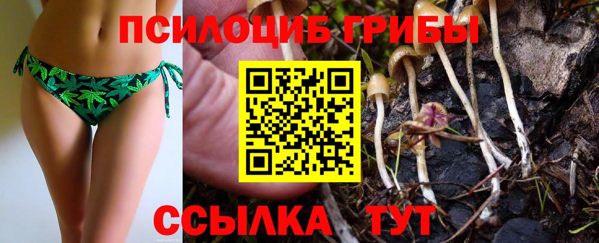 Набережные Челны  Галлюциногенные грибы Psilocybe  Вход с VPN 